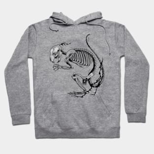 bone ⭐⭐⭐⭐ Hoodie